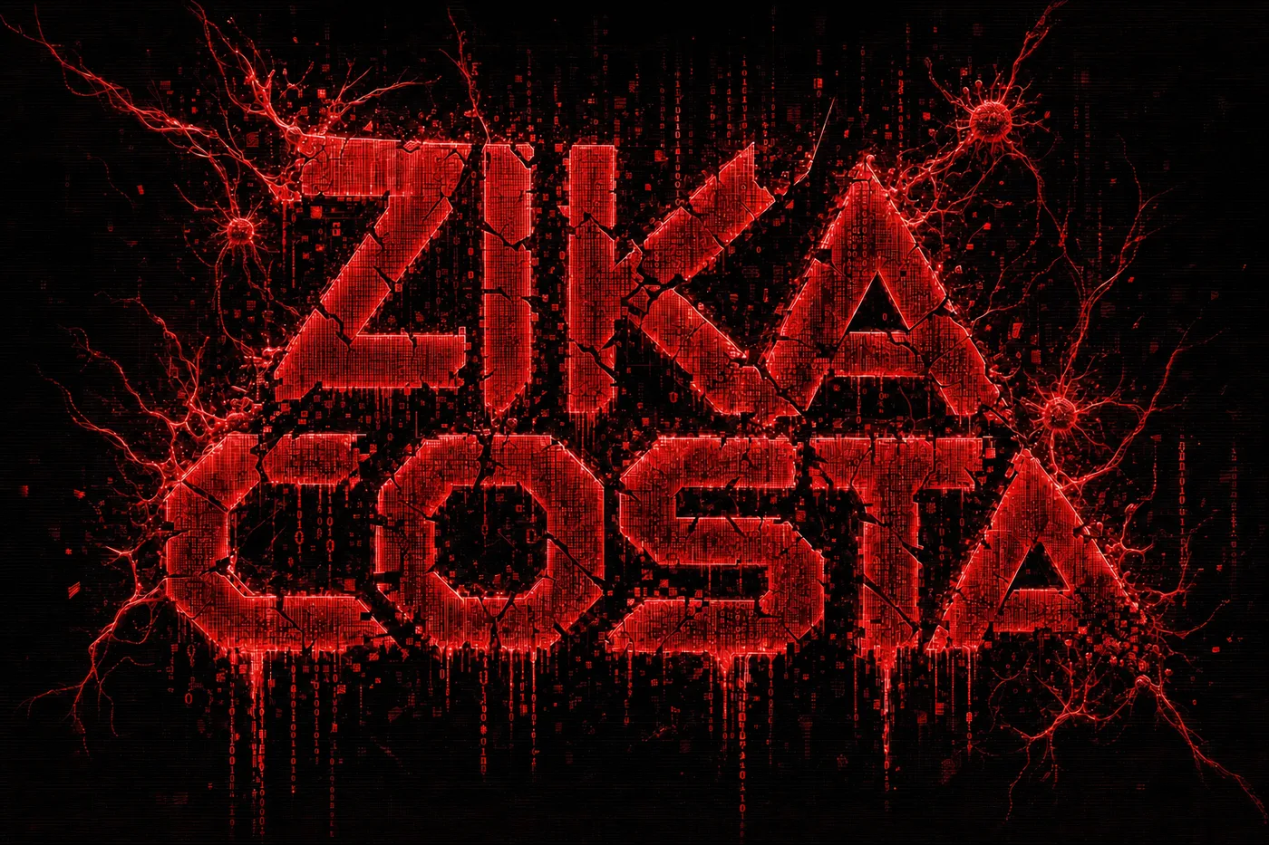 Zika Costa — glitch code